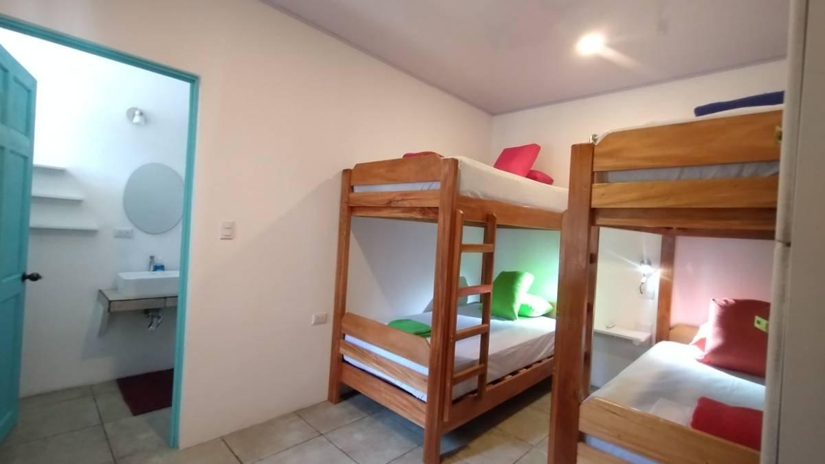 Hostel Casa Jungla — photo 5