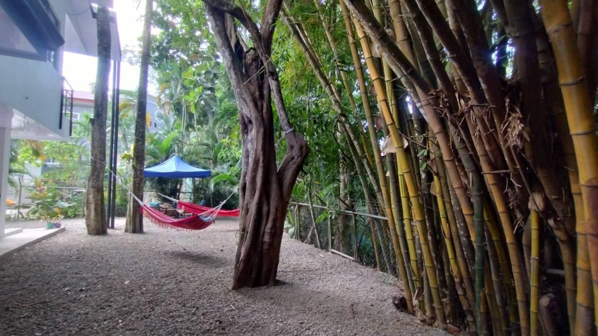 Hostel Casa Jungla — photo 18