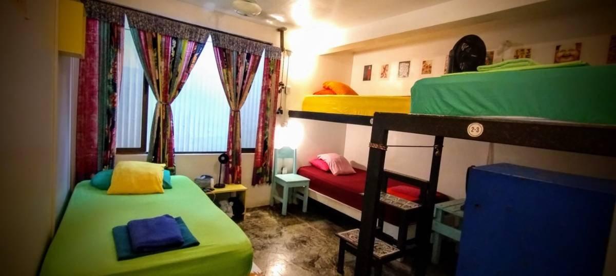Hostel Casa Jungla — photo 22